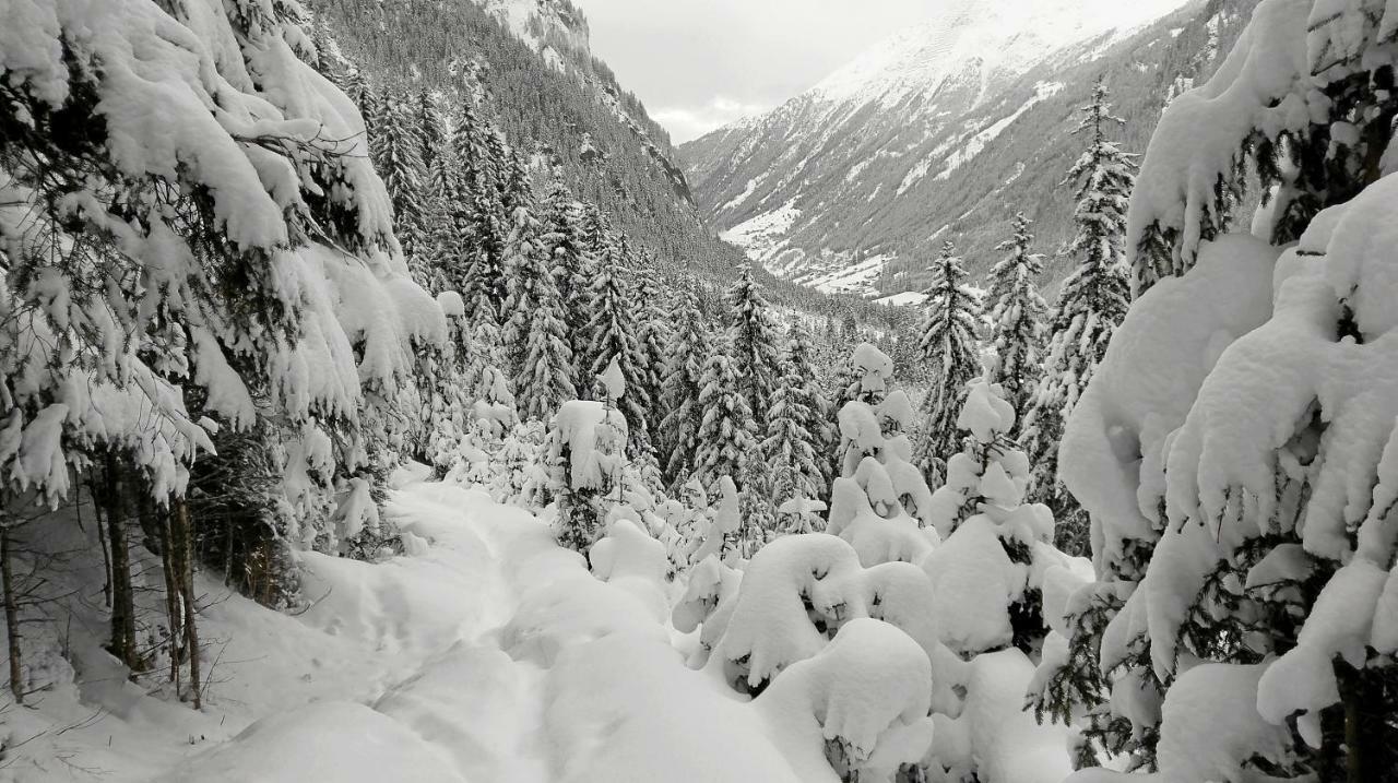 Haus Rosi Apartment Sankt Leonhard im Pitztal Bagian luar foto