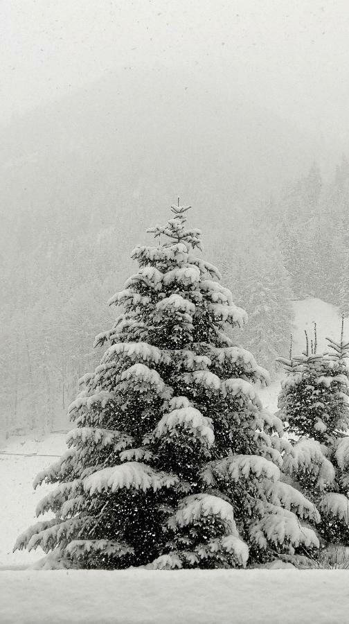 Haus Rosi Apartment Sankt Leonhard im Pitztal Bagian luar foto